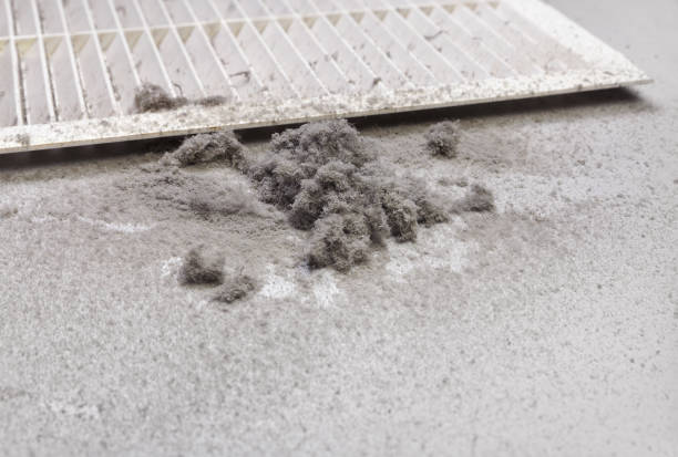 Best Ductwork Cleaning Services  in Los Ranchos De Albuquerque, NM