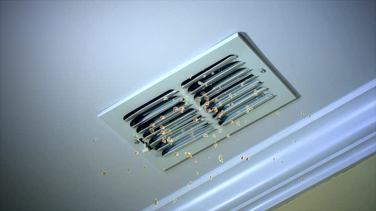 Best HVAC Maintenance and Cleaning  in Los Ranchos De Albuquerque, NM