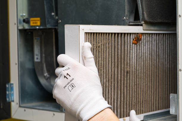 Best Commercial Air Duct Cleaning  in Los Ranchos De Albuquerque, NM